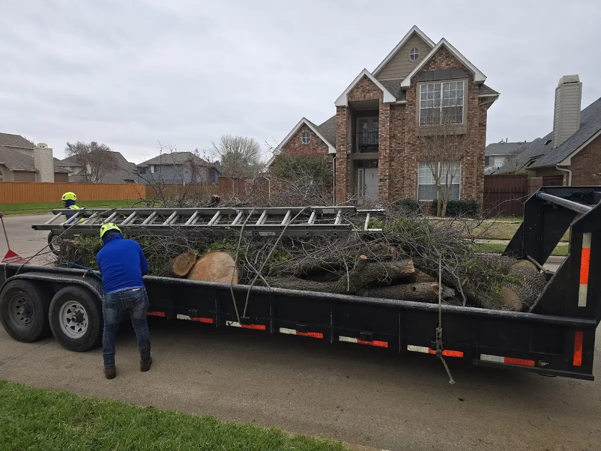 Expert Tree Fertilization with proper safety equipment in West Newton